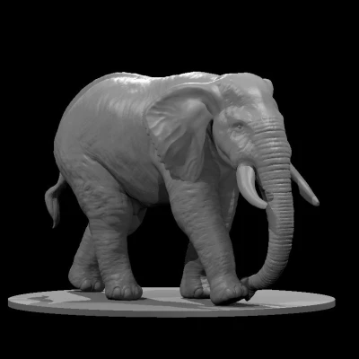 Mẫu "Elephant 2025"