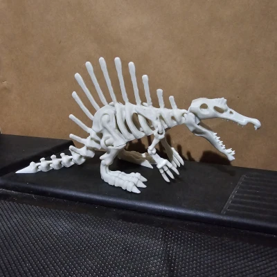 Mô Hình Bộ Xương Khủng Long Khớp Nối 4