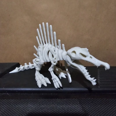 Mô Hình Bộ Xương Khủng Long Khớp Nối 4