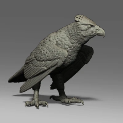 Mô Hình Điêu Khắc Chim Ưng Haast