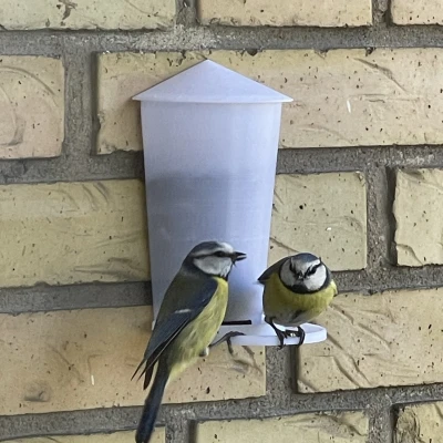 Máng Ăn Chim Treo Tường