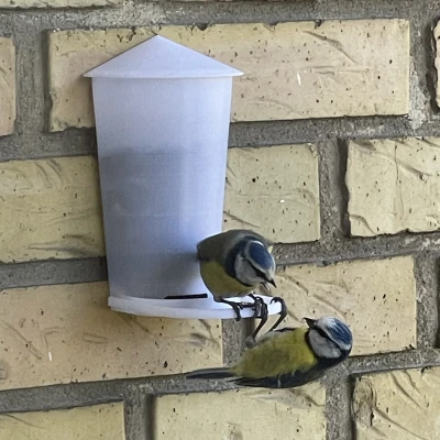 Máng Ăn Chim Treo Tường