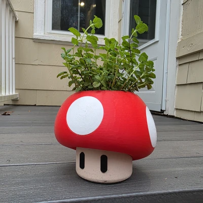 Chậu Trồng Cây Nấm Mario