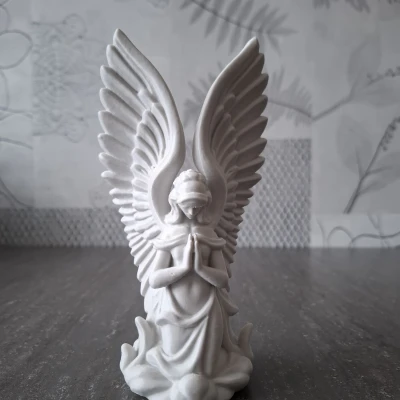 Thiên Thần Chiêm Nghiệm