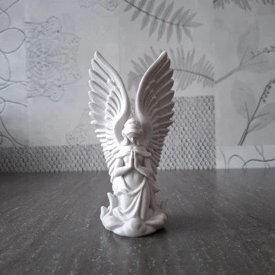 Thiên Thần Chiêm Nghiệm