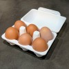 Hộp Đựng Trứng (6 quả và 4 quả) - Bản Lề - Xếp Chồng - In Liền - Thumbnail 1