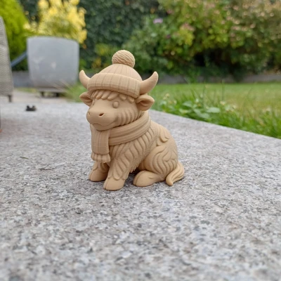 Cozy Coo — Bò Tây Tạng Mùa Đông