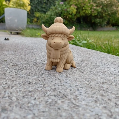 Cozy Coo — Bò Tây Tạng Mùa Đông