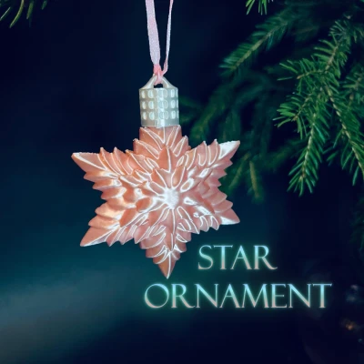 Bộ sưu tập trang trí ngôi sao cây thông Noel 2025