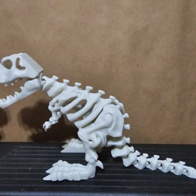 Mô hình bộ xương khủng long có khớp nối