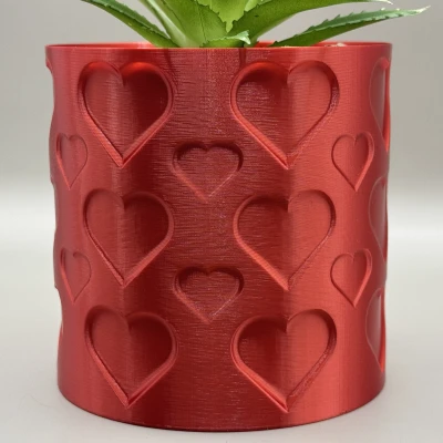 Chậu Cây Trái Tim – Chậu Hoa Chế Độ Bình