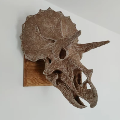ĐẦU TRICERATOPS KHỔNG LỒ