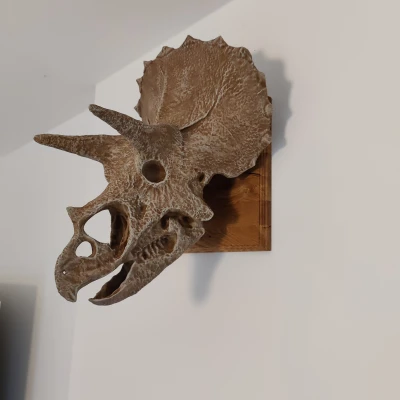 ĐẦU TRICERATOPS KHỔNG LỒ