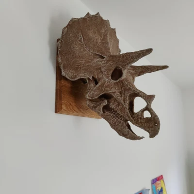 ĐẦU TRICERATOPS KHỔNG LỒ