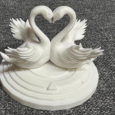 Cặp Đôi Thiên Nga Đẹp