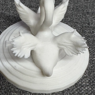 Cặp Đôi Thiên Nga Đẹp