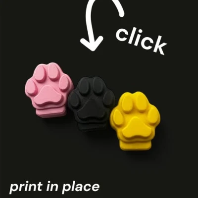 Cần Tập Luyện Cho Chó