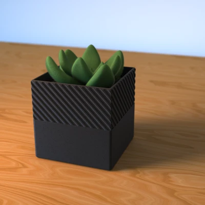 Chậu Cây Hình Học - Phiên Bản 2