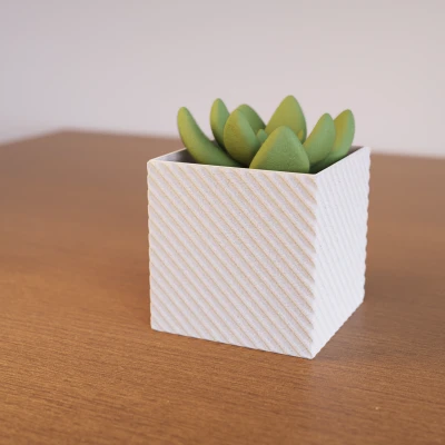 Chậu Cây Hình Học Vuông - Phiên Bản 1