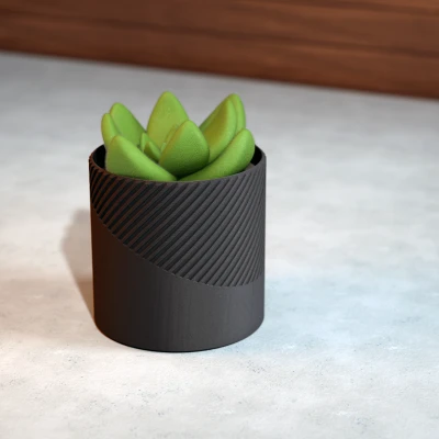 Chậu Cây Hình Học - Phiên Bản 4