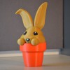 Chậu Thỏ Con - Đơn và Đa vật liệu - Thumbnail 2