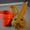 Chậu Thỏ Con - Đơn và Đa vật liệu - Thumbnail 3