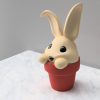 Chậu Thỏ Con - Đơn và Đa vật liệu - Thumbnail 4