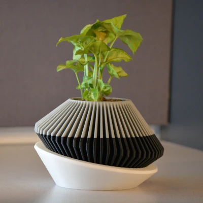 Chậu Cây Hiện Đại 001