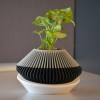 Chậu Cây Hiện Đại 001 - Thumbnail 2