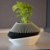 Chậu Cây Hiện Đại 001 - Thumbnail 3