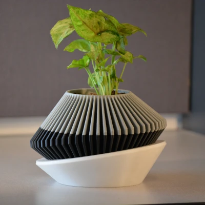 Chậu Cây Hiện Đại 001