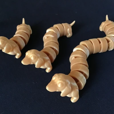 Chó Dachshund Khớp Nối - 3 Độ Dài Khác Nhau