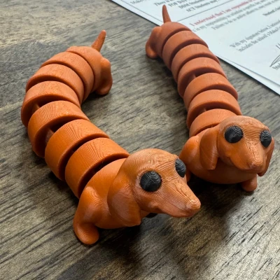 Chó Dachshund Khớp Nối - 3 Độ Dài Khác Nhau