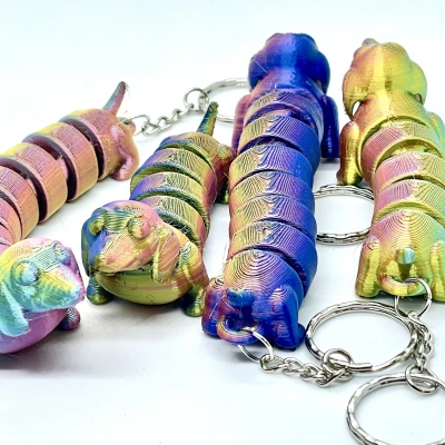 Chó Dachshund - Khớp nối