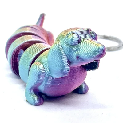 Chó Dachshund - Khớp nối