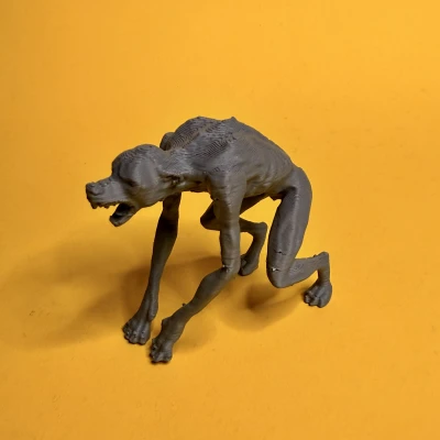 Nhân Vật Harry Potter Phần 1: Dementor, Chó Ba Đầu, Quỷ Khổng Lồ, Người Sói