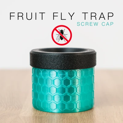 Bẫy Ruồi Giấm Hiện Đại