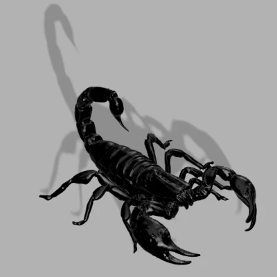 Mô hình Bọ cạp Heterometrus silenus