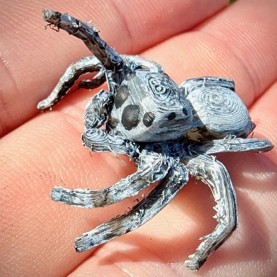 Nhện Nhảy - Dễ In