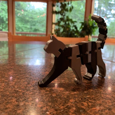 Mèo Dẻo Nhiều Màu - Multi-color Flexi Cat