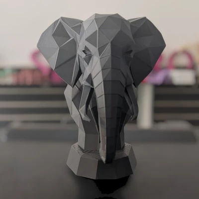 Chân dung Voi Hình học