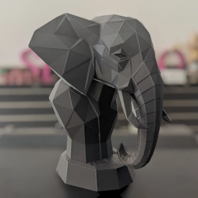 Chân dung Voi Hình học