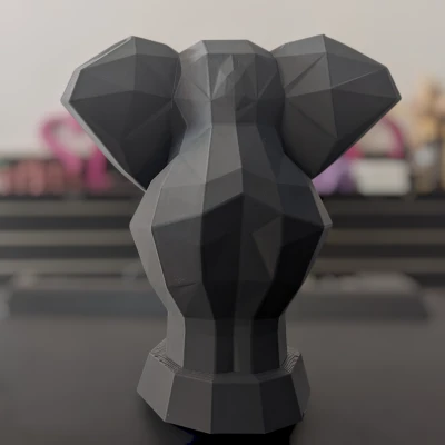 Chân dung Voi Hình học