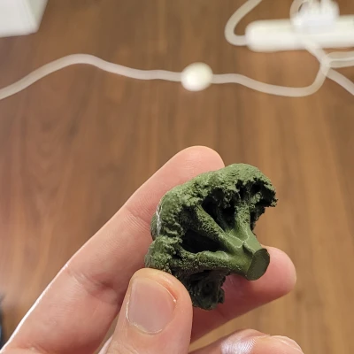 Bông Cải Xanh Scan 3D