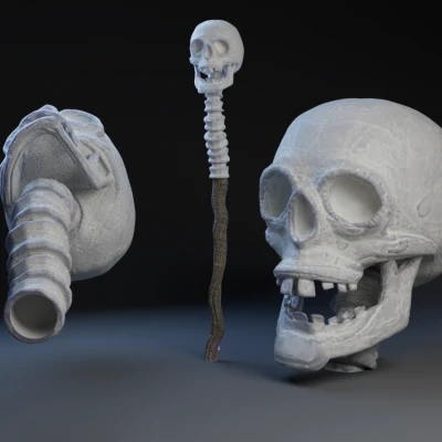 Đầu Lâu và Cột Sống Toff / Chóp Gậy