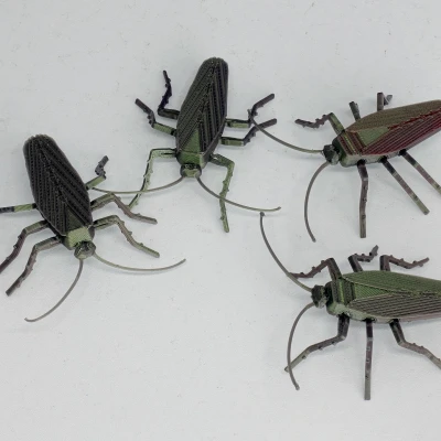 Gián Có Khớp Nối