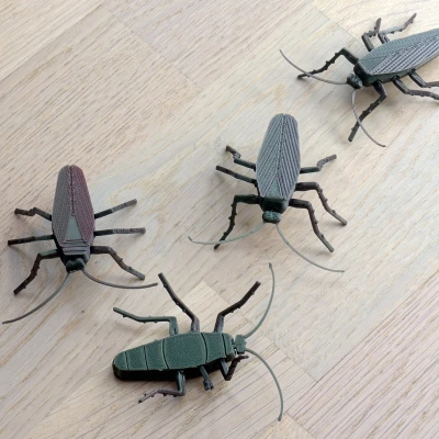 Gián Có Khớp Nối