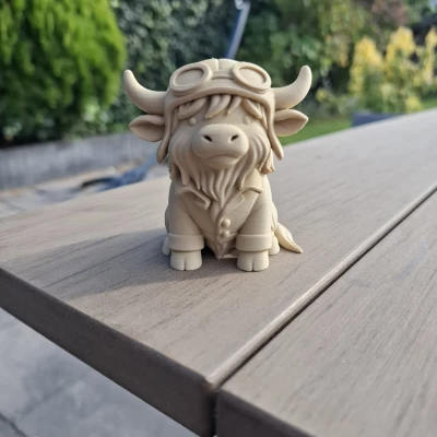 Bò Cao Nguyên Phi Công – Bầu Trời Là Của Tôi!