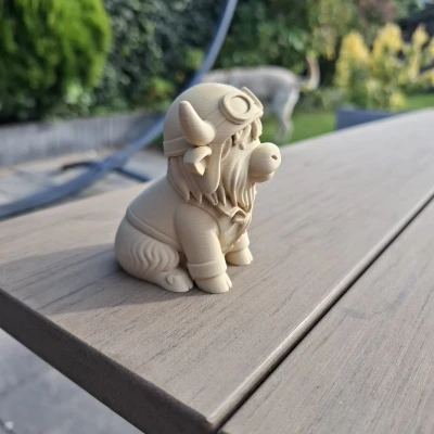 Bò Cao Nguyên Phi Công – Bầu Trời Là Của Tôi!