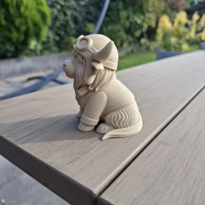 Bò Cao Nguyên Phi Công – Bầu Trời Là Của Tôi!